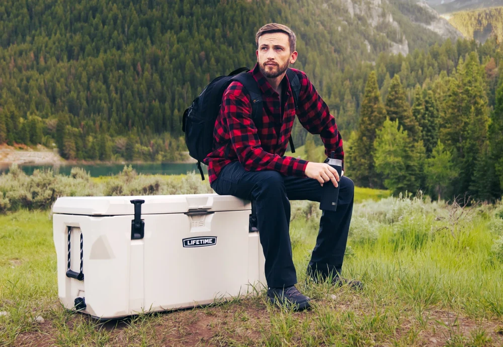 ice box cooler for car